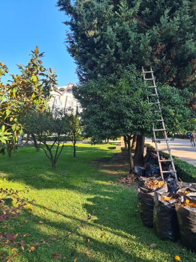 عکس دانشگاه صنعتی نوشیروانی بابل