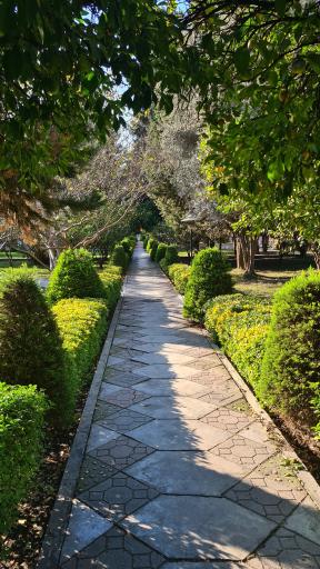 عکس دانشگاه صنعتی نوشیروانی بابل