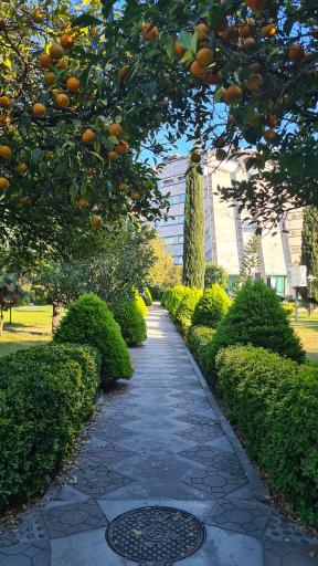 عکس دانشگاه صنعتی نوشیروانی بابل