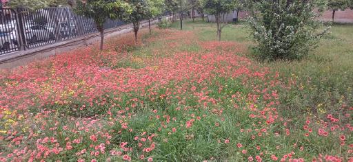 عکس دانشگاه صنعتی نوشیروانی بابل