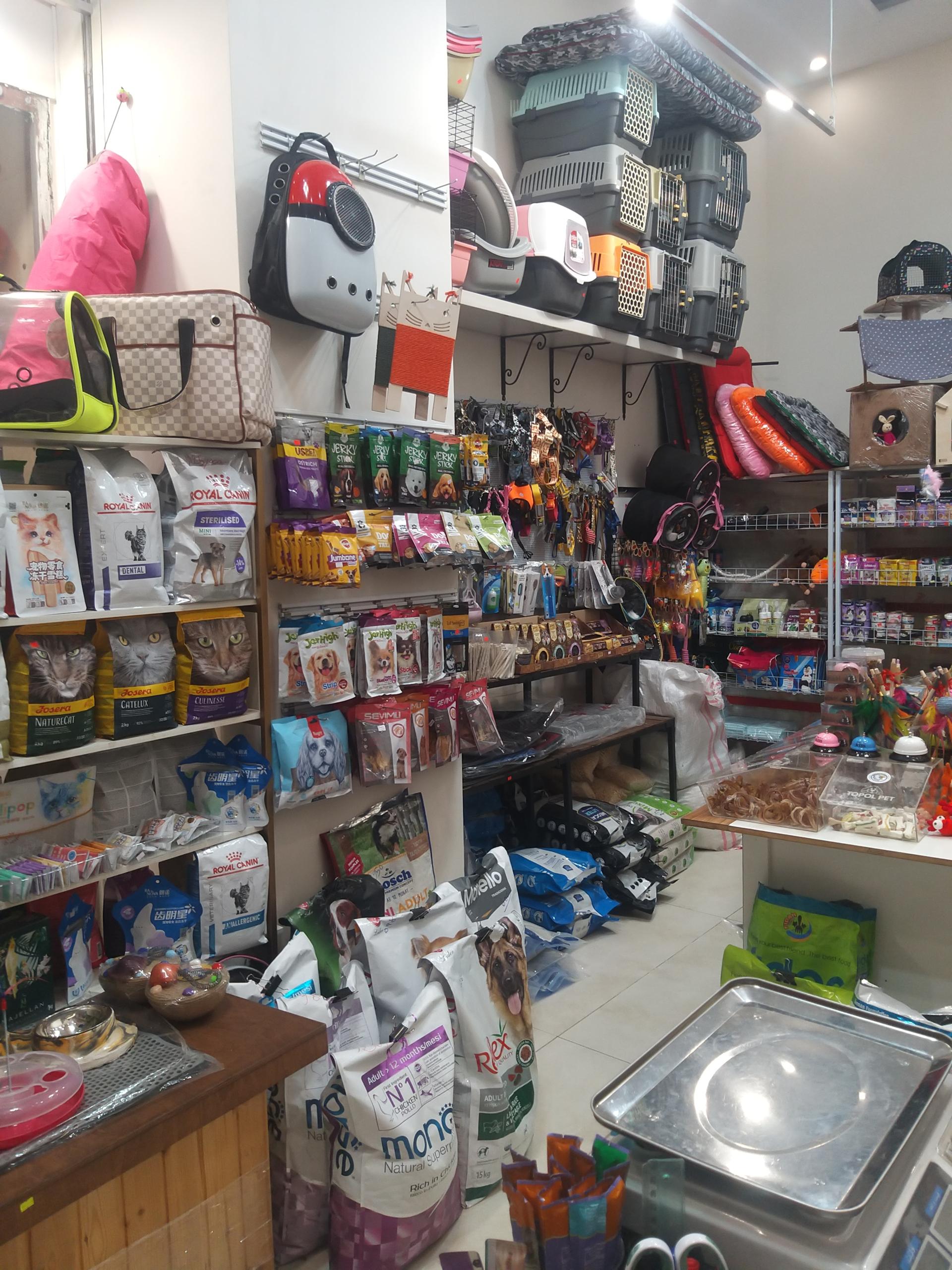 عکس پت شاپ طرلان 