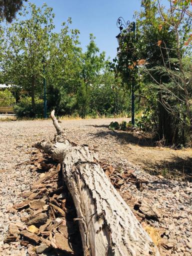 عکس باغ کودک هفت سنگ