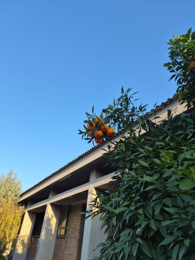 عکس دانشگاه صنعتی نوشیروانی بابل