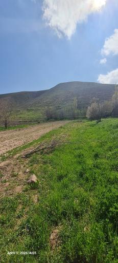 عکس چکنه