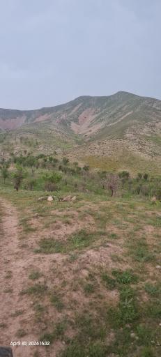 عکس چکنه