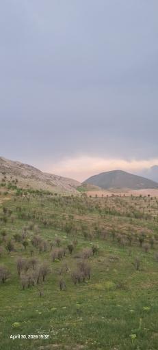 عکس چکنه