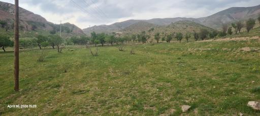 عکس چکنه
