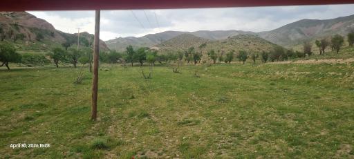 عکس چکنه
