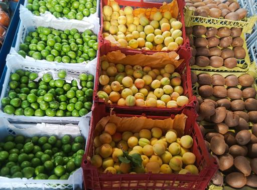عکس میوه فروشی سردار