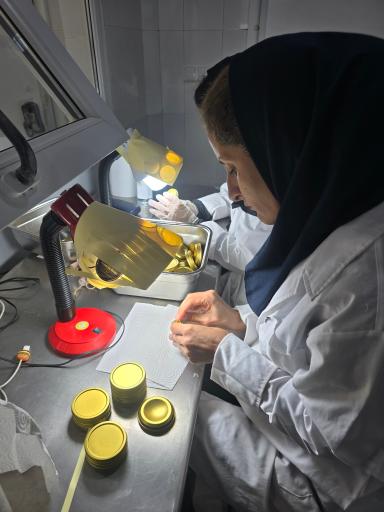 عکس کارخانه باهو خزر