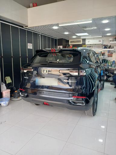 عکس تشخیص رنگ و دیتیلینگ کارینو