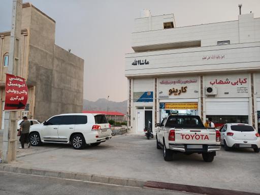 عکس تشخیص رنگ و دیتیلینگ کارینو