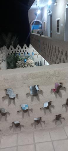 عکس بومگردی راوی کویر مصر