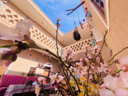 عکس بومگردی راوی کویر مصر