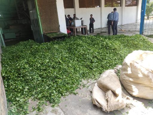 عکس چایسازی موقوفه غروی 