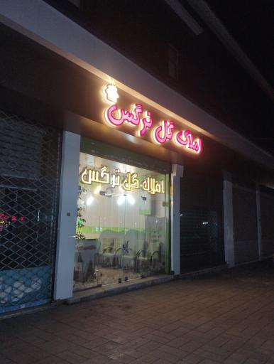 املاک گل نرگس