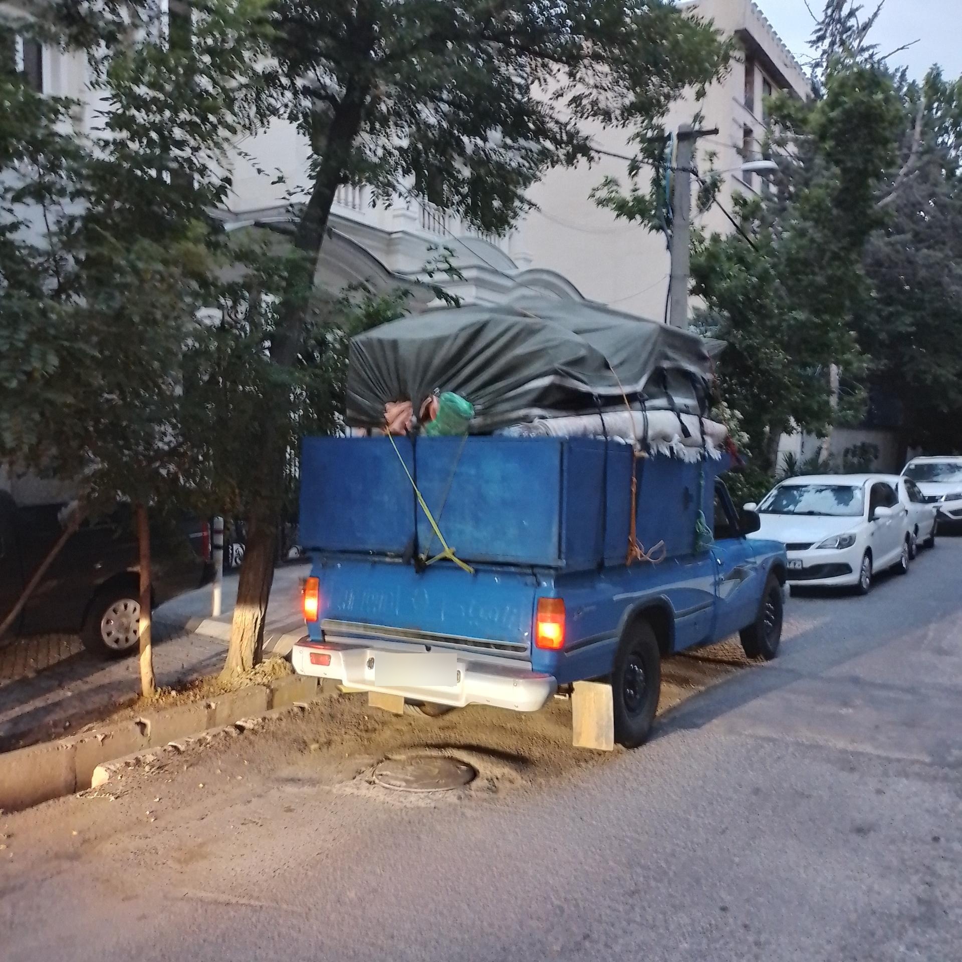 عکس باربری بردیا