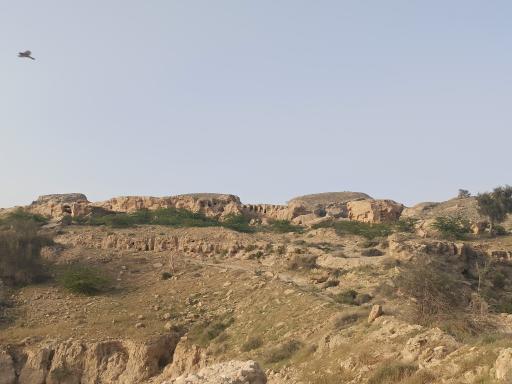 عکس دخمه باستانی (چاه‌های سنگی) بندر سیراف
