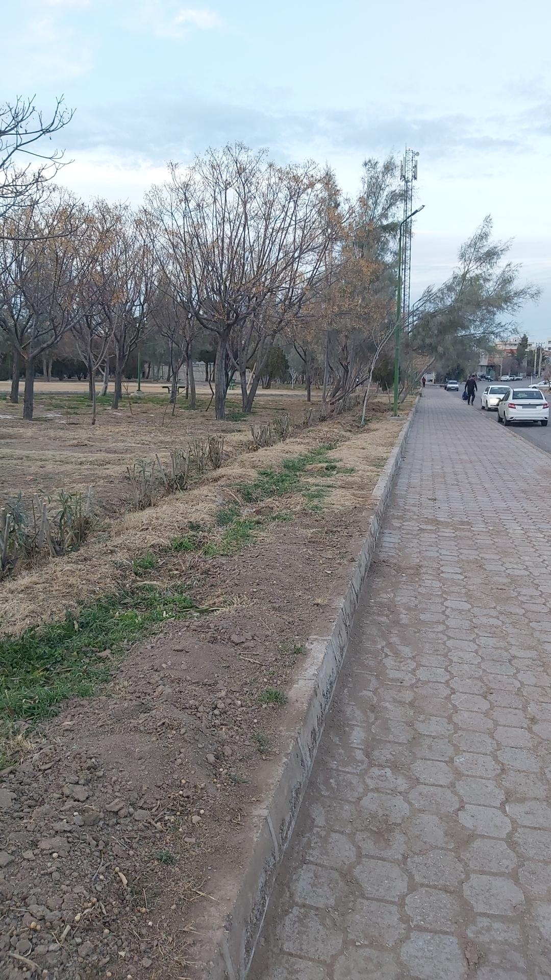 عکس بوستان نیکوکاران