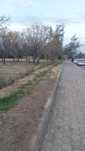 بوستان نیکوکاران