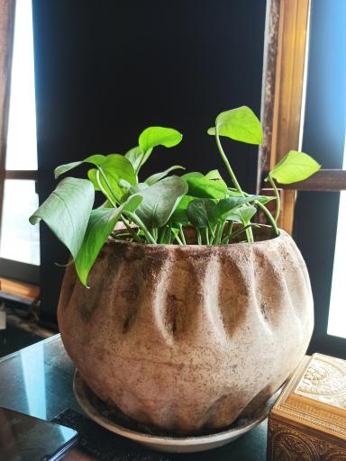 عکس سفره خانه سنتی هزاردستان