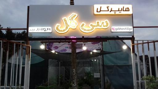 گلخانه و هایپرگل سی گل
