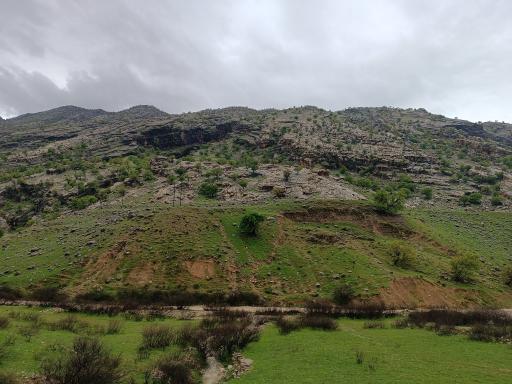 عکس جایگاه تفریحی کنار رودخانه