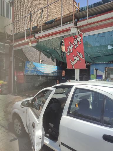 عکس کارواش نانو بخار VIP