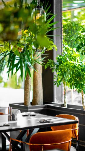 عکس رستوران مدرن دِلوين