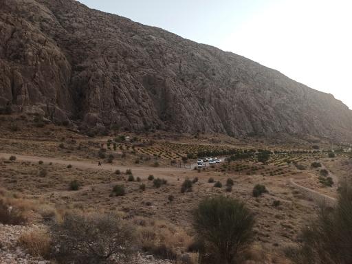 عکس بوستان ملی بمو