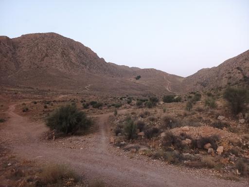 عکس بوستان ملی بمو