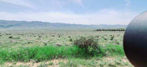 عکس بوستان ملی بمو