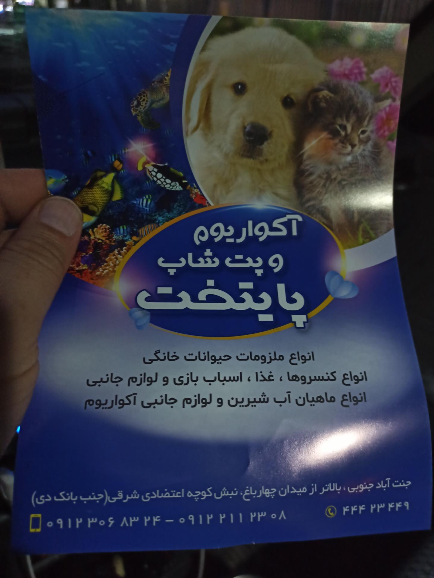 عکس آکواریوم و پت شاپ پایتخت