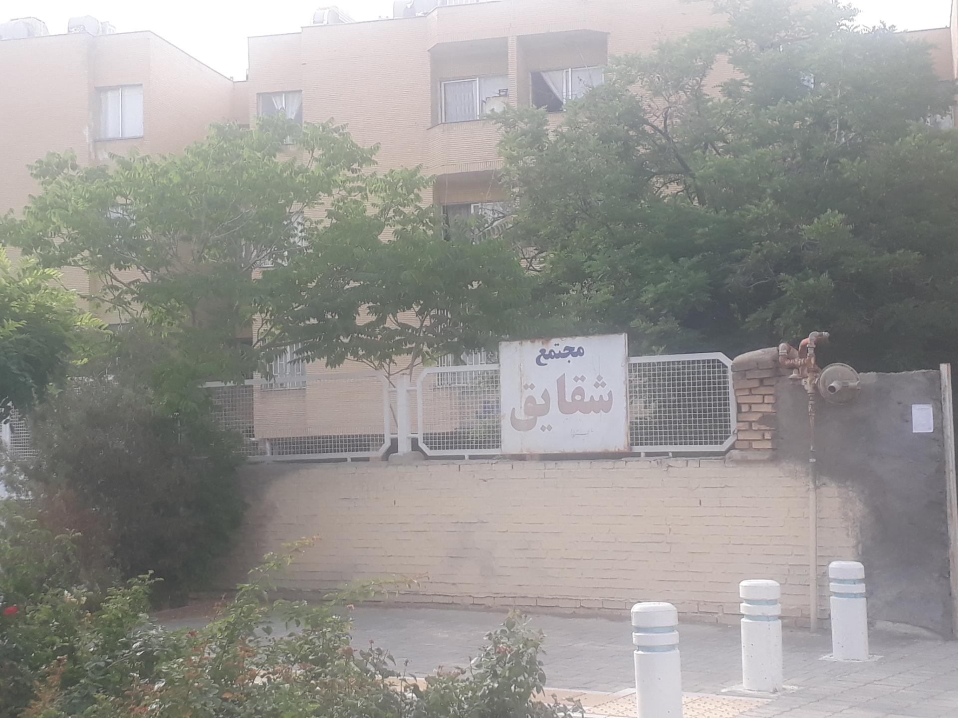 عکس مجتمع شقایق