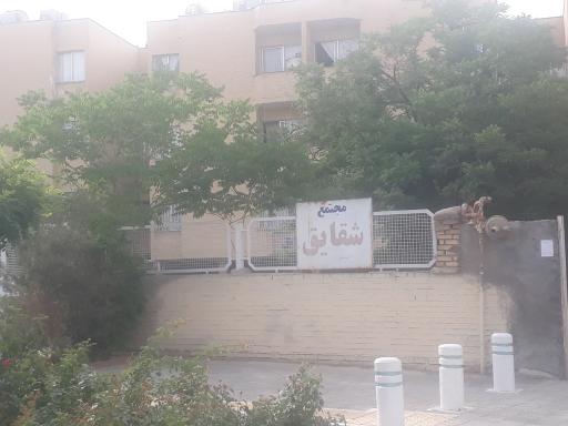 عکس مجتمع شقایق