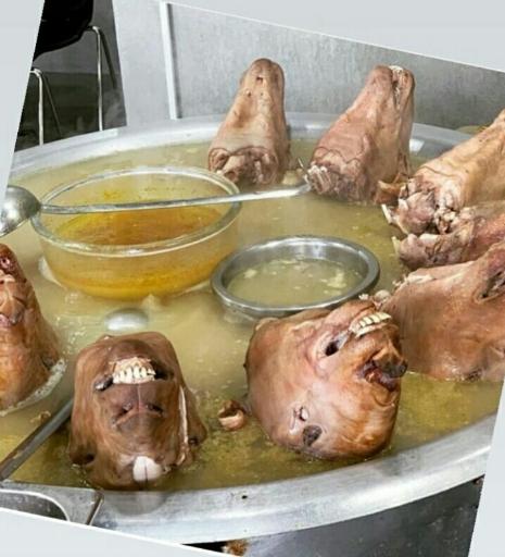 عکس طباخی دانش