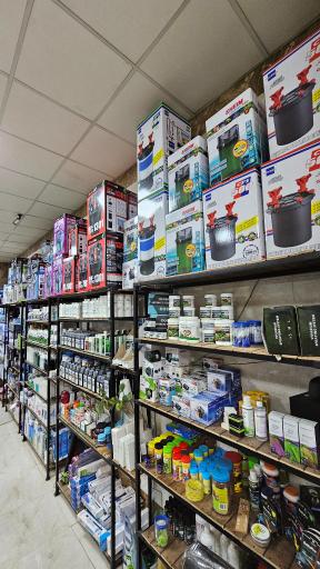 عکس آکواریوم چشم انداز آبی