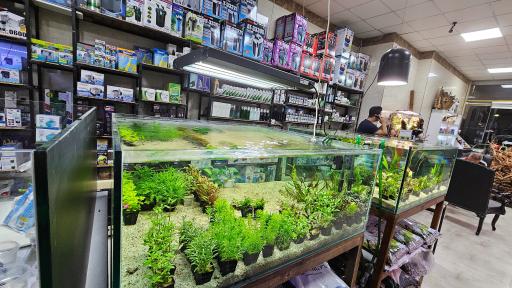 عکس آکواریوم چشم انداز آبی