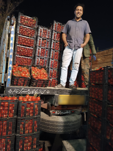 عکس پخش عمده تره بار جهانگیر