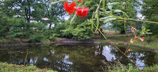 مجتمع آموزشی رفاهی امامت چالوس