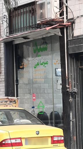 عکس مشاور املاک میرصانعی