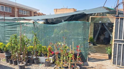 عکس توری سایبان شید