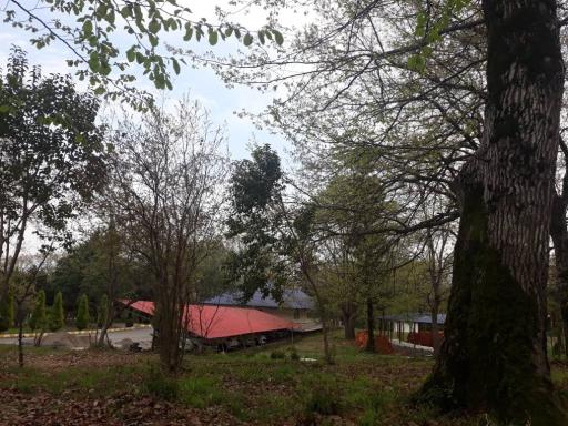 عکس مجتمع آموزشی رفاهی امامت چالوس