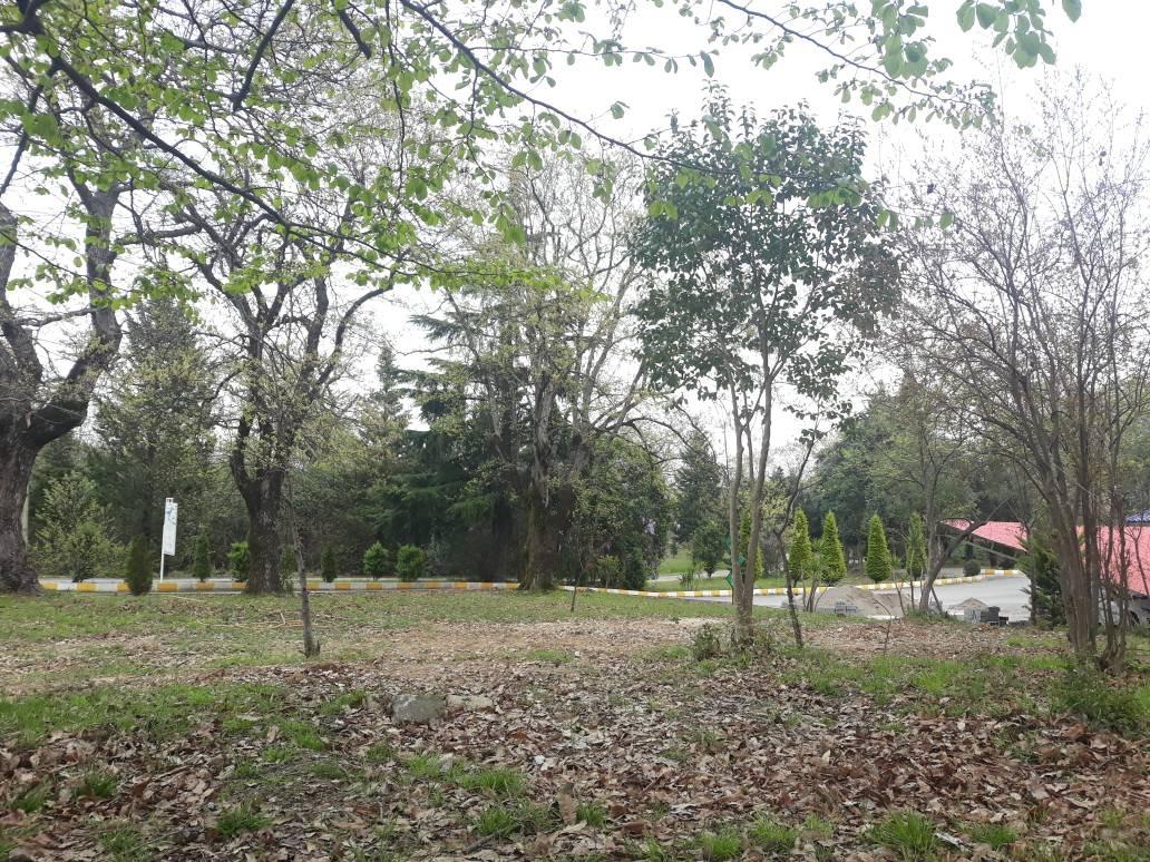 عکس مجتمع آموزشی رفاهی امامت چالوس