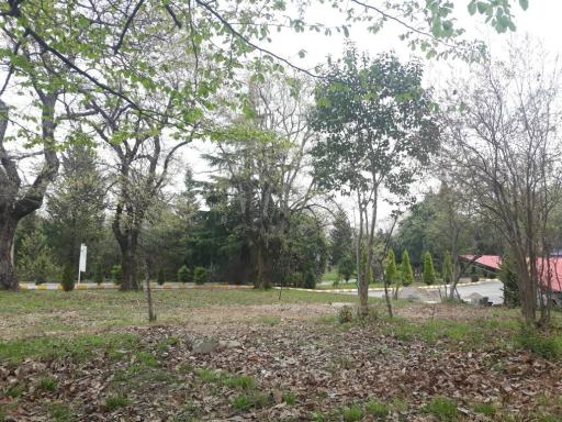 عکس مجتمع آموزشی رفاهی امامت چالوس