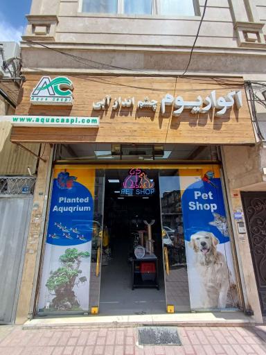 عکس آکواریوم چشم انداز آبی