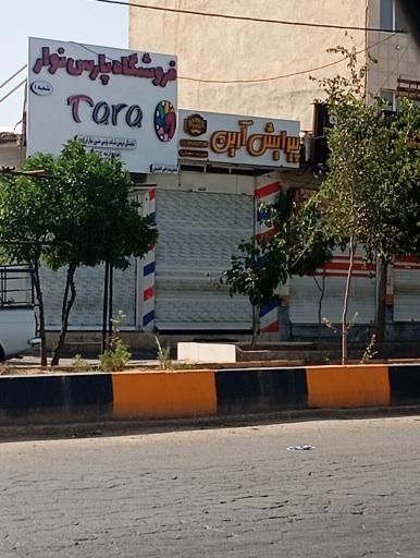 عکس پیرایش آرین