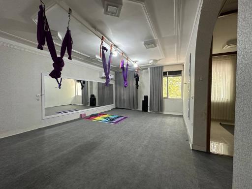 عکس آکادمی یوگا مهسا گرائلی