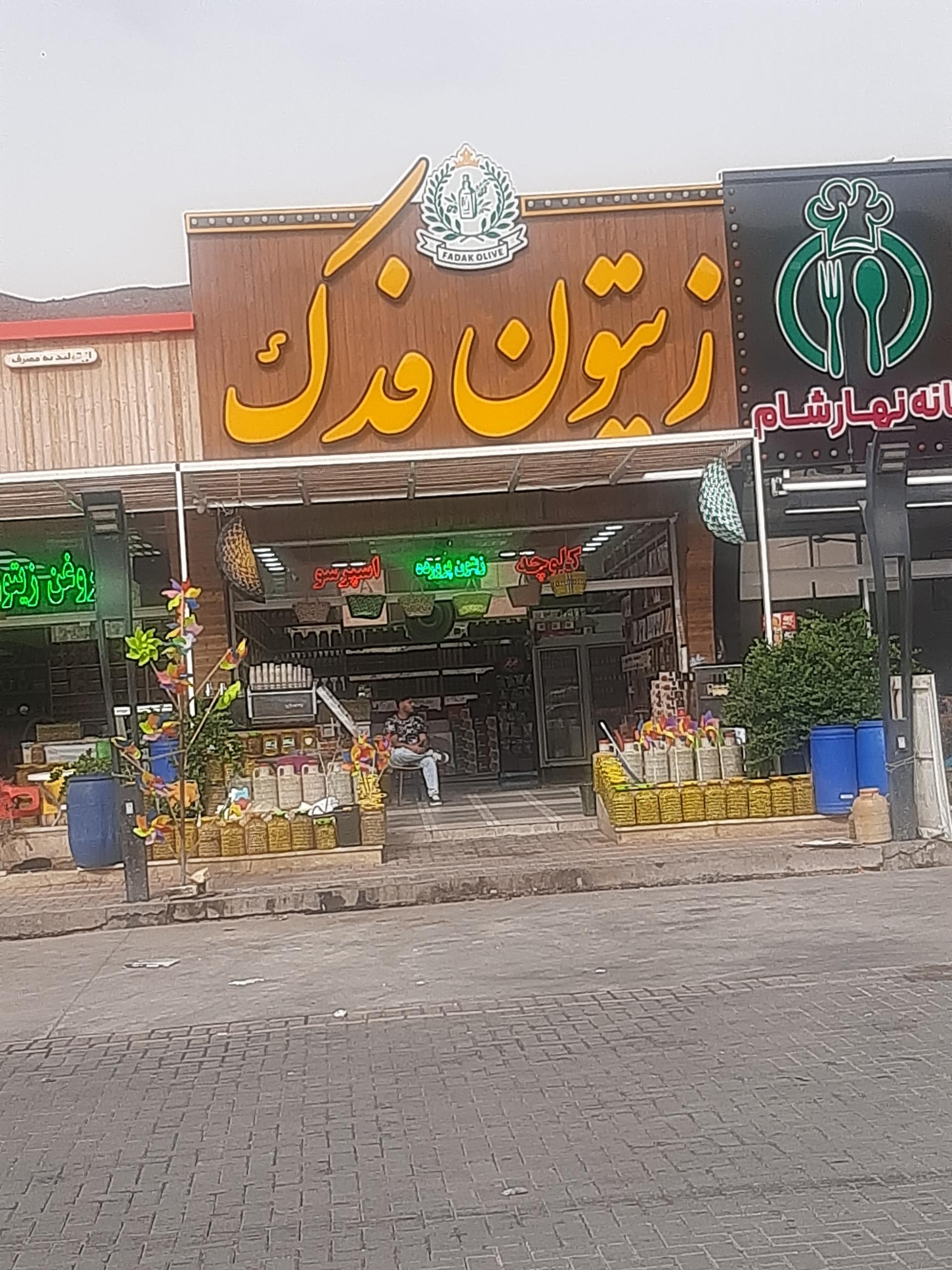 عکس زيتون فدک