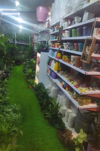 عکس گلخانه جوکار